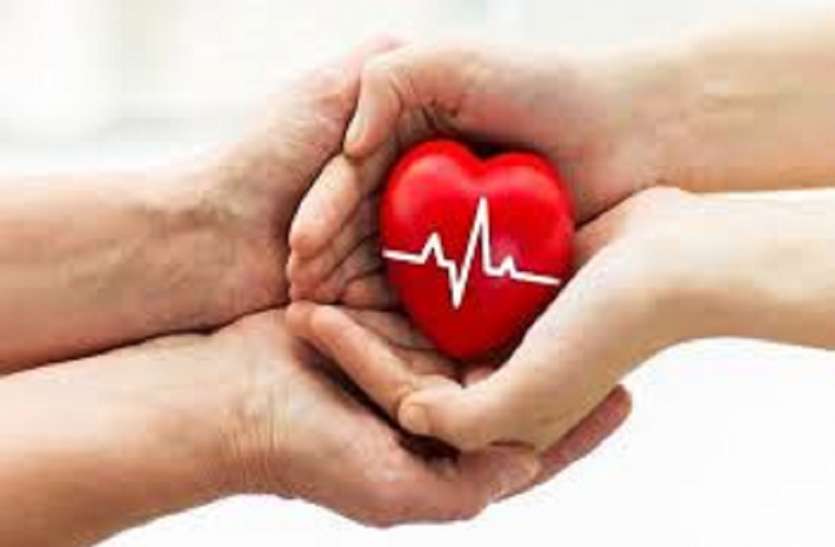 organ donation दक्षिण भारत अंगदान के मामले में जागरुक, लगातार छठे साल तमिलनाडु को राष्ट्रीय अवॉर्ड