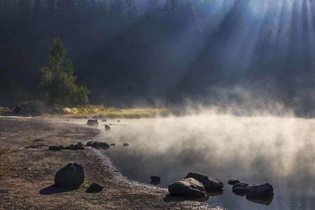 न्यू रिसर्च: वैज्ञानिकों का दावा, जो पानी हम इस्तेमाल करते हैं उसका अधिकाँश हिस्सा डायनासोर के मूत्र से बना है