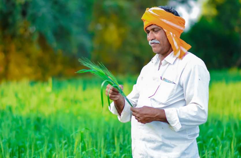 सात दिसंबर तक पीएम फसल बीमा योजना की मिलेगी जानकारी सात दिसंबर तक पीएम फसल बीमा योजना की मिलेगी जानकारी