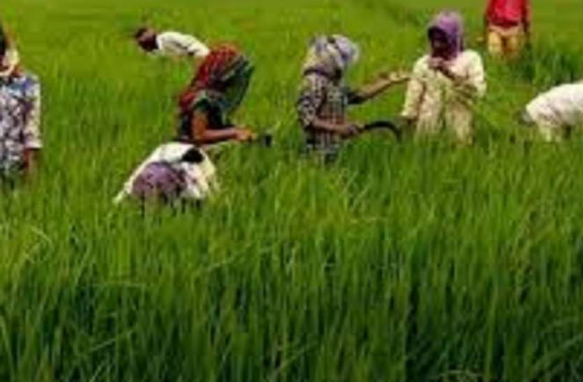farmers डीएमके, कांग्रेस समेत अन्य सहयोगी दल कृषि बिल के विरोध में उतरे