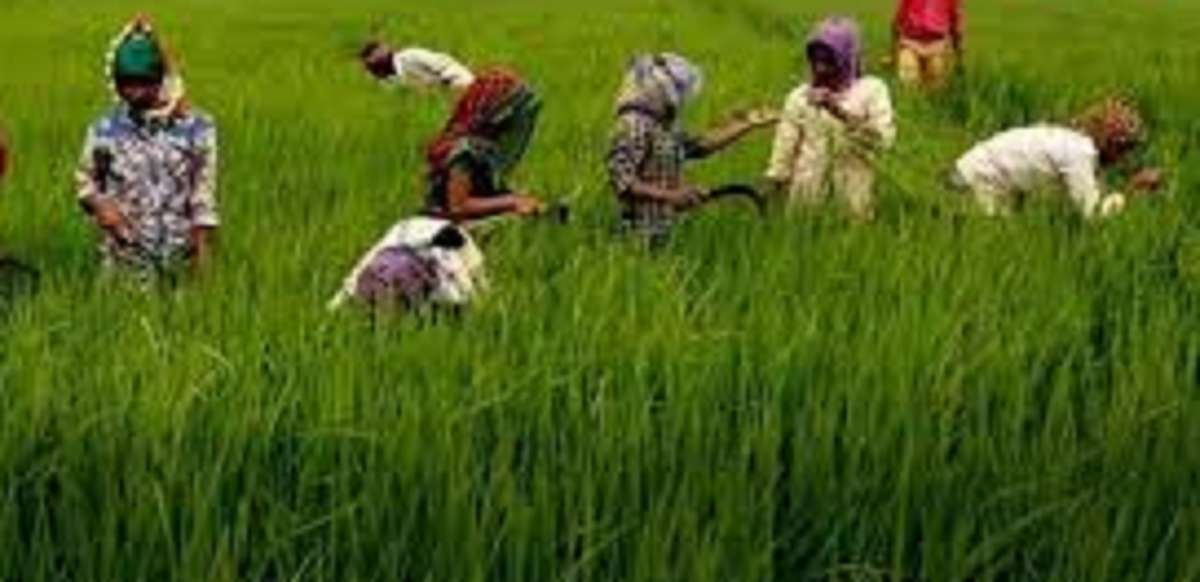 farmers
