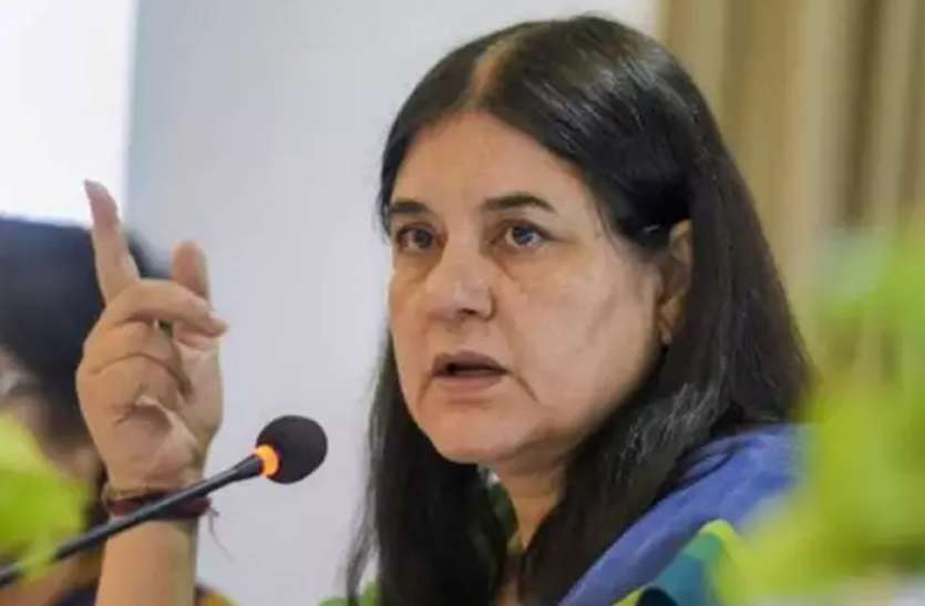 maneka_gandhi.jpg दिल्ली से मेनका गांधी ने किया फोन, तब पुलिस ने पशु तस्करों को घेरकर पकड़ा