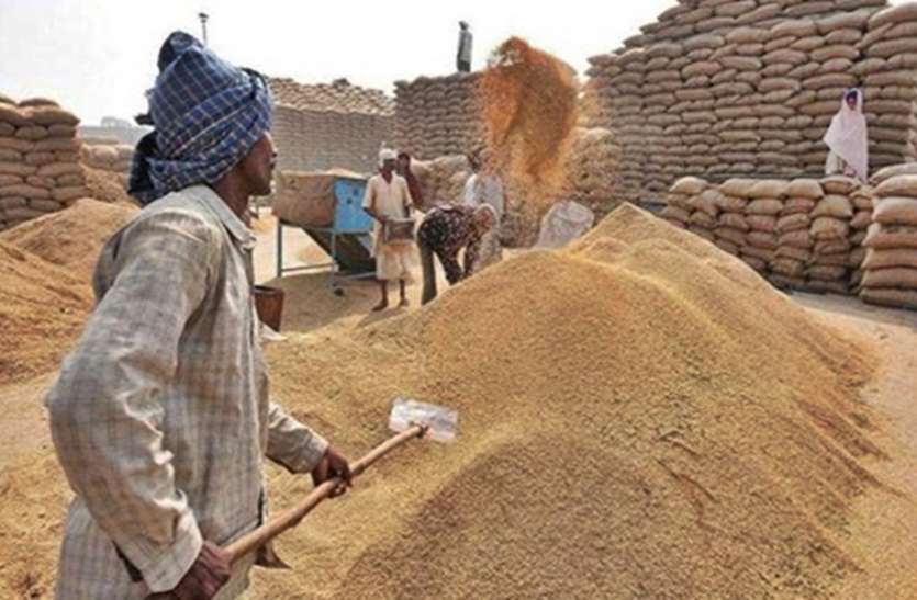 paddy.jpg बारदाने के साथ प्लास्टिक बोरा भी होगा वितरण, टोकन की वैधता तीन दिन नहीं बल्कि सात दिन
