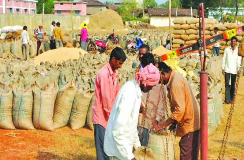 Purchased Nine And A Half Million Quintals Of Paddy On First Day - पहले दिन  अधूरे इंतजामों के बीच साढ़े नौ लाख क्विंटल धान खरीदी, 90 लाख मीट्रिक टन धान  खरीदी का