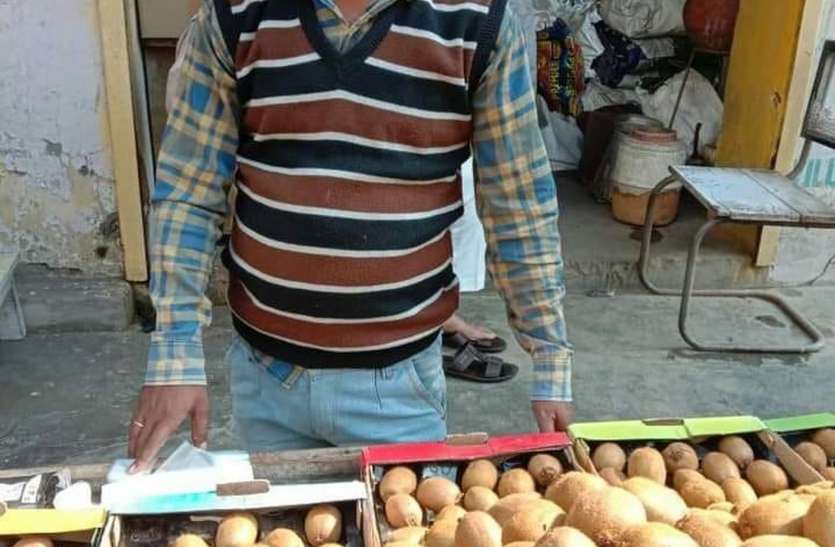 डिब्बों में बिकने वाली कीवी हनुमानगढ़ में बिक रही ढेरी में डिब्बों में बिकने वाली कीवी हनुमानगढ़ में बिक रही ढेरी में