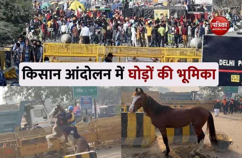 Farmer Protest Farmer Protest: जानिए आंदोलन के बीच किसानों ने क्यों मंगाए घोड़े, बेटी की शादी में भी घर नहीं लौटा अन्नदाता