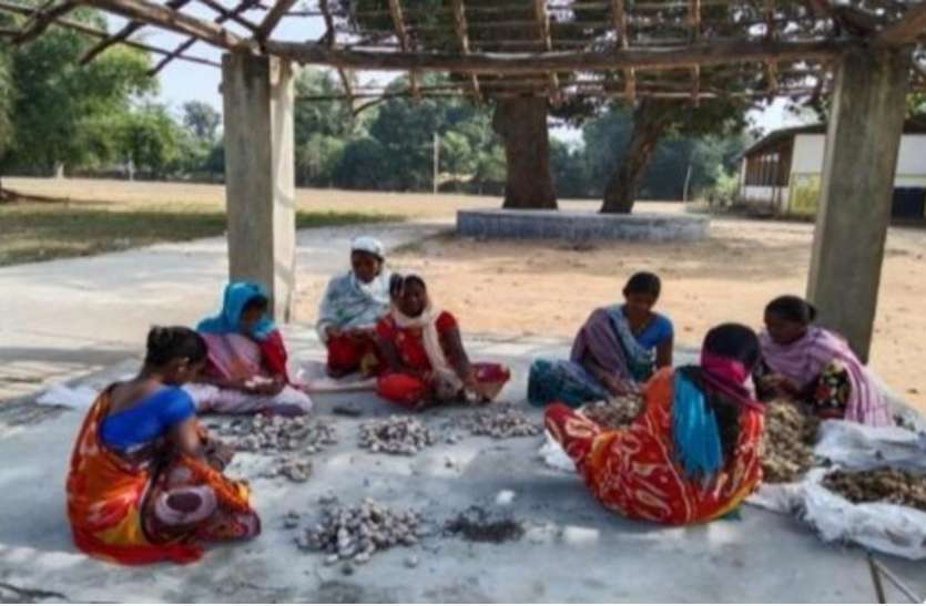 01_2.jpg सफलता की कहानी:रेशमी धागों से महिलाएं बुन रही हैं जीवन के ताने-बाने