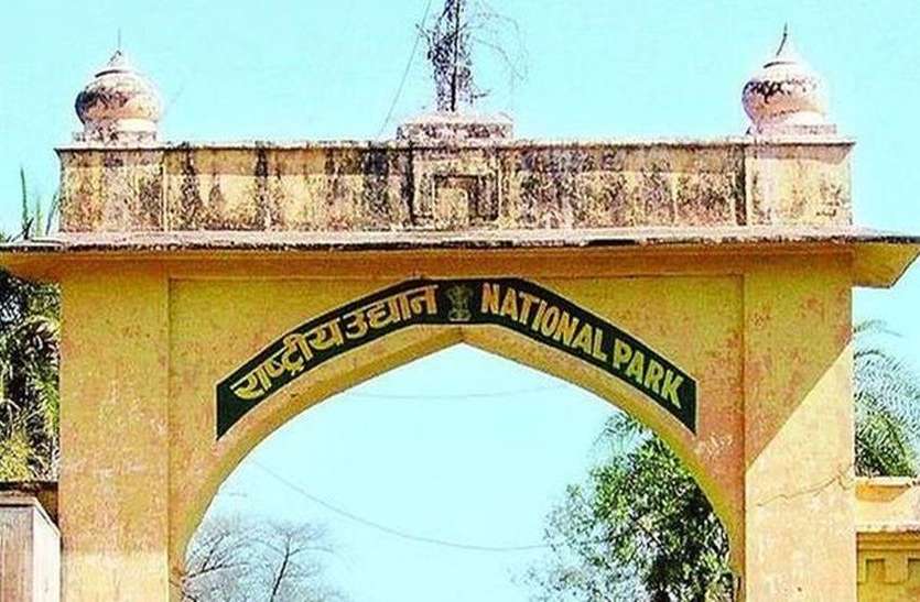 sariska letest news सरिस्का समेत प्रदेश के सभी टाइगर रिजर्व में रेड अलर्ट घोषित