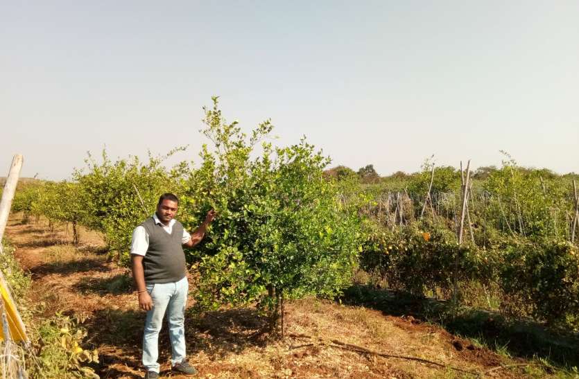 modern farming किसान ने पारंपरिक छोड़ पकड़ी आधुनिक खेती की राह, हो गया मालामाल