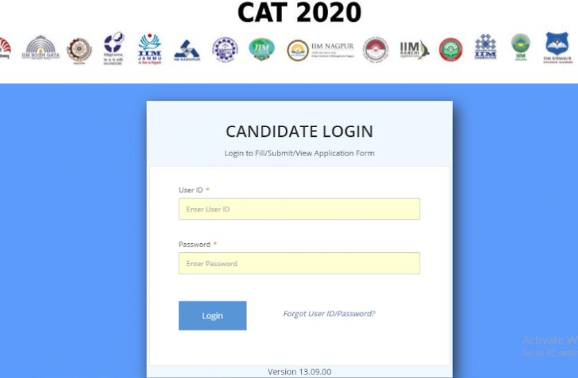 cat_2020.png