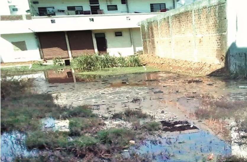 नगर निगम में कॉलोनी का हस्तांतरण हो तो मिले राहत नगर निगम में कॉलोनी का हस्तांतरण हो तो मिले राहत
