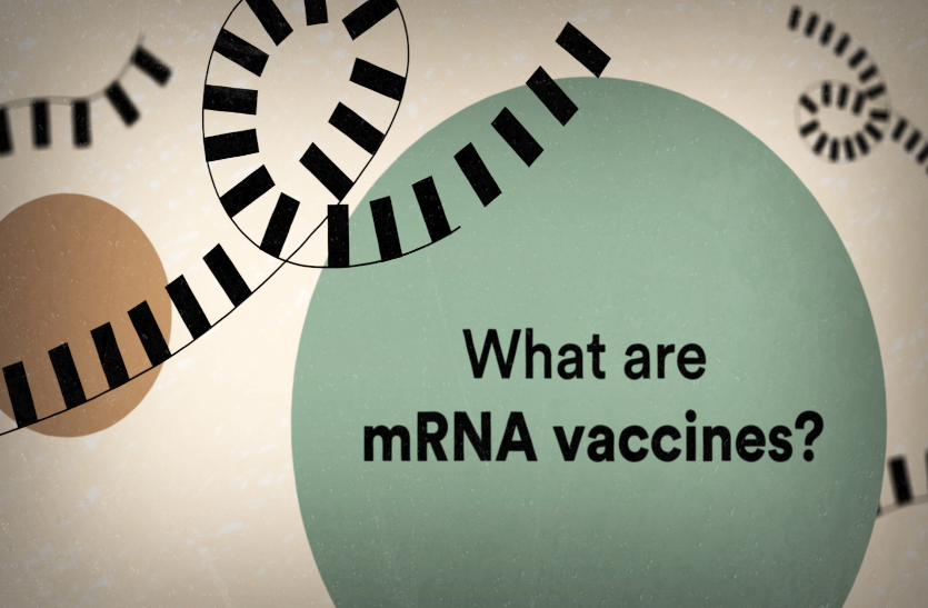 भारत में बनी पहली स्वदेशी mRNA वैक्सीन को ह्यूमन ट्रायलकी मंजूरी मिली भारत में बनी पहली स्वदेशी mRNA वैक्सीन को ह्यूमन ट्रायलकी मंजूरी मिली