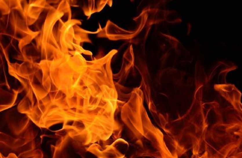 self immolate Delhi : बुद्धा जयंती पार्क में एक महिला ने किया आत्मदाह का प्रयास, अस्पताल में भर्ती