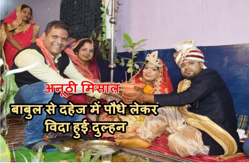 korba_news.jpg अनूठी मिसाल: बाबुल से दहेज में पौधे लेकर विदा हुई दुल्हन, दूल्हे से लिया जिंदगी भर इन पौधों की रक्षा करने का वचन