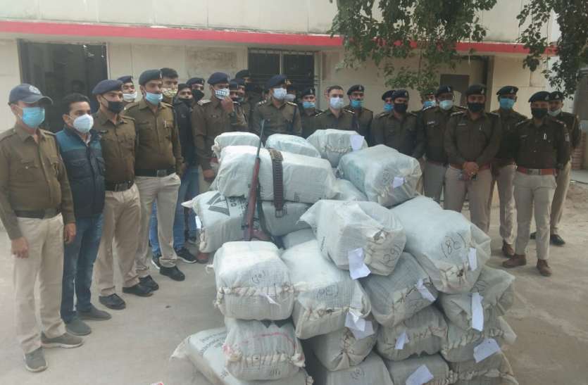 कंटेनर से 1.70 करोड़ का 845 किलो गांजा जब्त, आठ आरोपी गिरफ्तार कंटेनर से 1.70 करोड़ का 845 किलो गांजा जब्त, आठ आरोपी गिरफ्तार