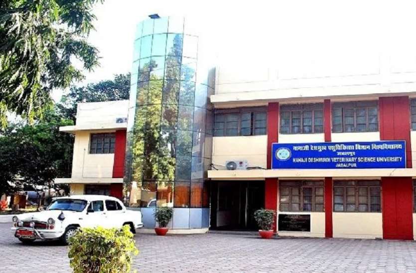 Veterinary University जबलपुर की इस University में दाखिले को लगी विद्यार्थियों की भारी भीड़