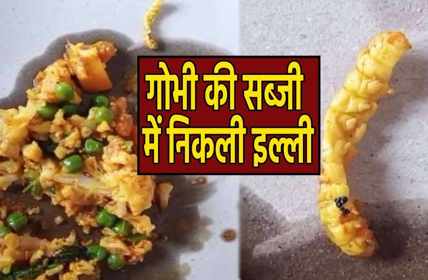 sabji.jpg अचानक बिगड़ी कोरोना योद्धाओं की तबीयत, खाना देखा तो सब्जी में निकली इल्लियां