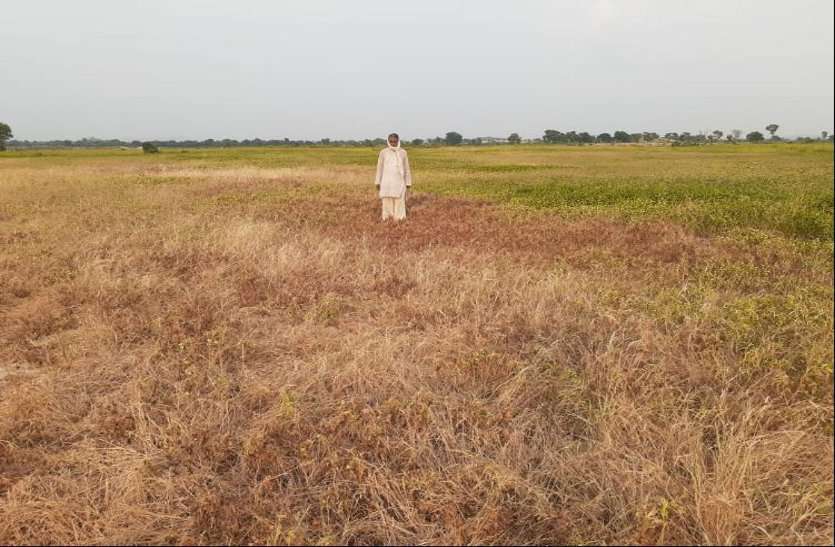 पहली बार जिले के सभी किसानों को मिला क्लेम जिले 13 हजार किसानों को मिले फ सल बीमा क्लेम के 32 करोड़ रुपए