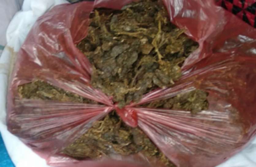 ganja_seized.jpg महाराष्ट्र: ठाणे में एक 1.7 किलो गांजे के साथ 3 गिरफ्तार