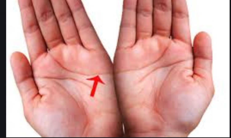 hand1_5e9d7e324da80.png