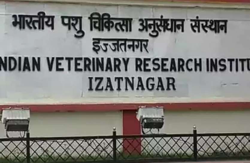 नानवेज शौकीनों के लिए गुड न्यूज, मीट में मिलावट को ढूंढ़ कर निकालेगी आईवीआरआई की किट नानवेज शौकीनों के लिए गुड न्यूज, मीट में मिलावट को ढूंढ़ कर निकालेगी आईवीआरआई की किट
