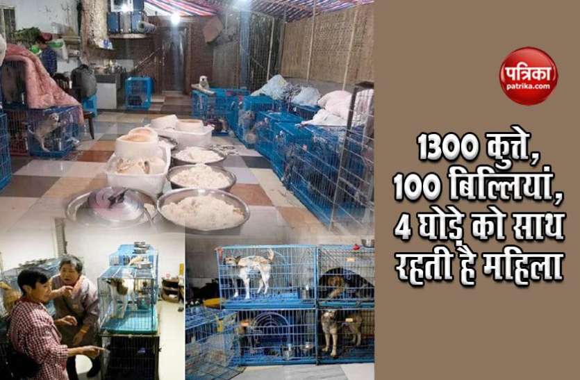 68 year old woman 1300 कुत्ते, 100 बिल्लियां, 4 घोड़े को पाल रही हैं ये महिला, रोज पकाती है 500 किलो चावल, सब्ज्यिां, मीट