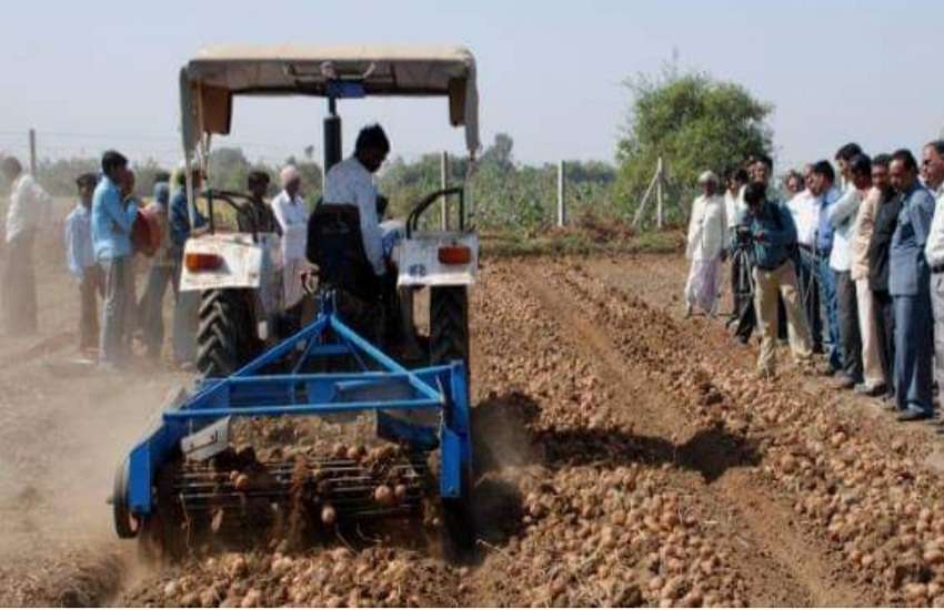 Ahmedabad News : आलू की पैदावार से सालाना 3 करोड़ से अधिक का टर्नओवर