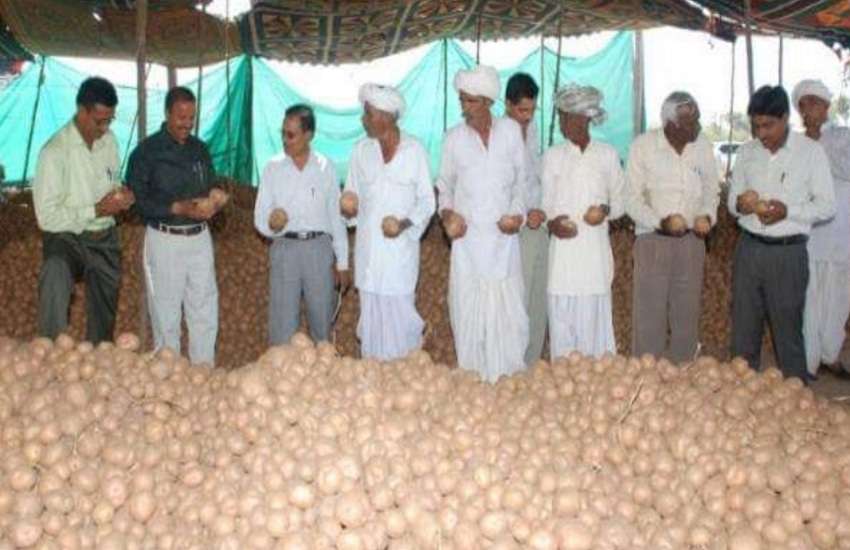 Ahmedabad News : आलू की पैदावार से सालाना 3 करोड़ से अधिक का टर्नओवर