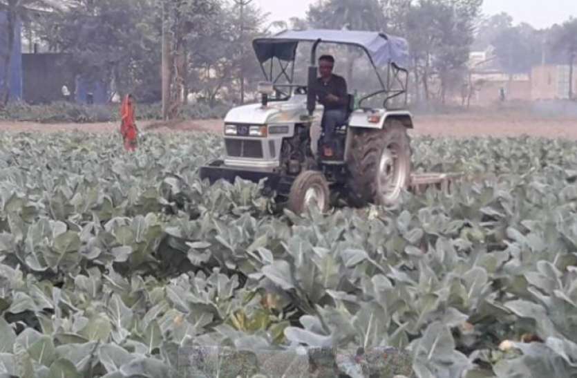 Farmer Destroyed The Land And Drove A Tractor Over, government helped मंडी में कम रेट मिलने से परेशान किसान ने फसल पर चला दिया था ट्रैक्टर, मोदी सरकार ने की मदद