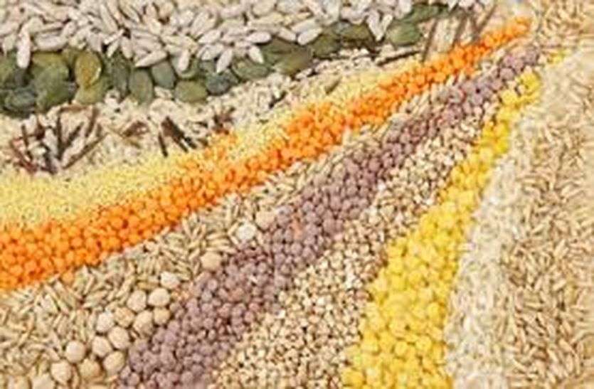 किसानों को दी उन्नत बीजों की जानकारी किसानों को दी उन्नत बीजों की जानकारी
