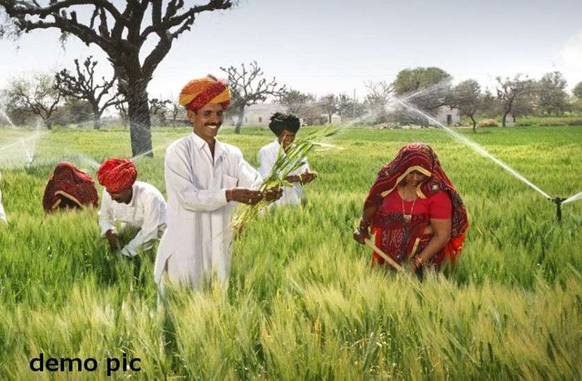 अब कृषि कारोबार बना मुनाफे का क्षेत्र, कोरोनाकाल के बावजूद हुई वृद्धि अब कृषि कारोबार बना मुनाफे का क्षेत्र, कोरोनाकाल के बावजूद हुई वृद्धि