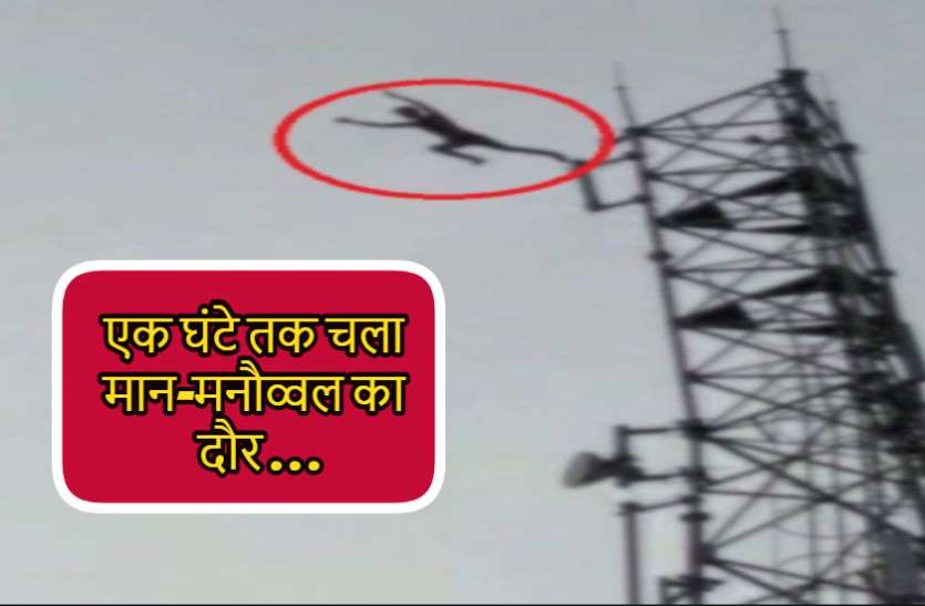 tower_se_chhalang.jpg कर्ज से लदे युवक ने मोबाइल टॉवर में चढ़कर लगाई छलांग, दर्दनाक मौत