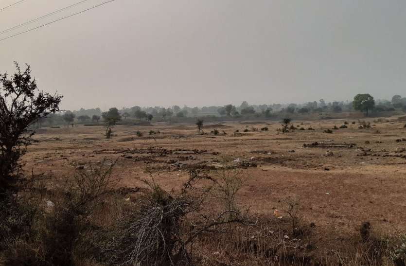 Encroachment on pastoral land, no place to find pasture चरनोई भूमि पर अतिक्रमण, चारागाह बनाने नहीं मिल रही जगह