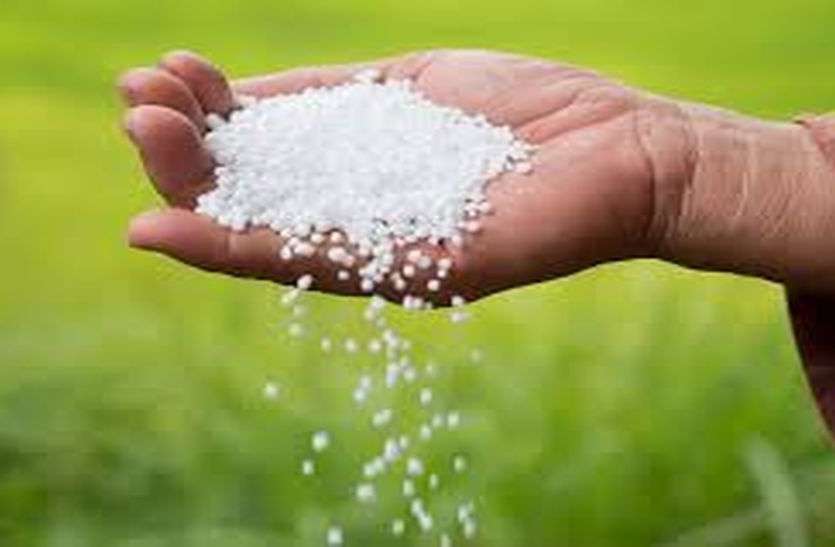 रबी फसलों के लिए यूरिया खाद की किल्लत रबी फसलों के लिए यूरिया खाद की किल्लत