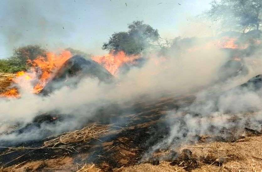 साजिश का आरोप : एक ही बाड़ा चार दिन में तीन बार धधका, आग से 55 ट्रॉली चारा जला साजिश का आरोप : एक ही बाड़ा चार दिन में तीन बार धधका, आग से 55 ट्रॉली चारा जला