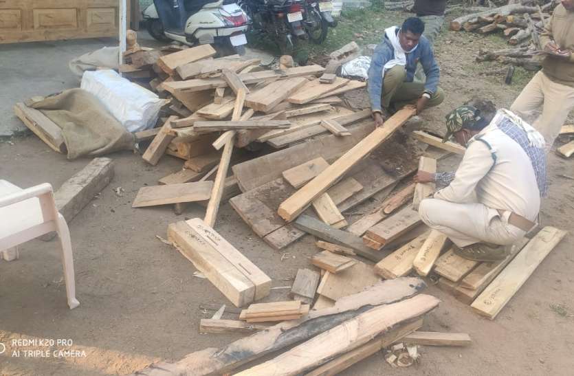 वन विभाग ने दो जगहों पर की कार्रवाई मकान से सागौन के साथ इलेक्ट्रानिक मोटर और औजार जब्त