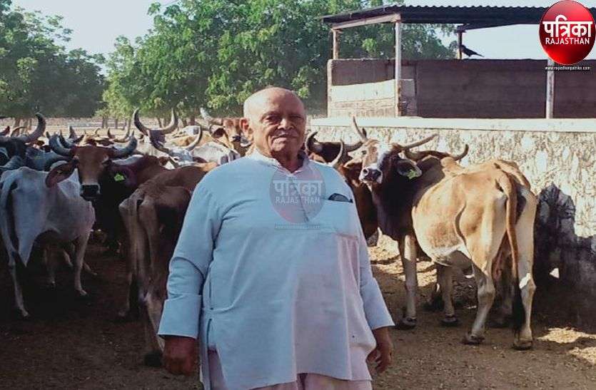 85 साल की उम्र में भी युवा जैसा जोश, अलसुबह निकलते हैं गायों की सेवा करने 85 साल की उम्र में भी युवा जैसा जोश, अलसुबह निकलते हैं गायों की सेवा करने