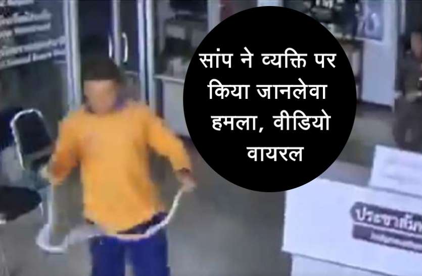 snake.jpg सांप और व्यक्ति के बीच चली घमासान लड़ाई, वीडिया वायरल, देखकर हैरान रह जाएंगे आप