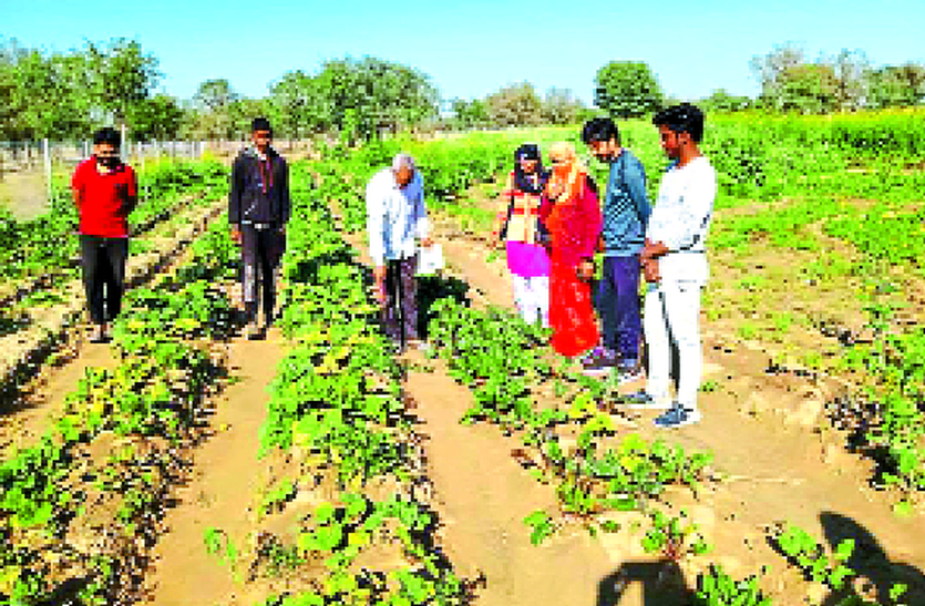 उत्पाद जैविक आधार पर तैयार उत्पाद जैविक आधार पर तैयार