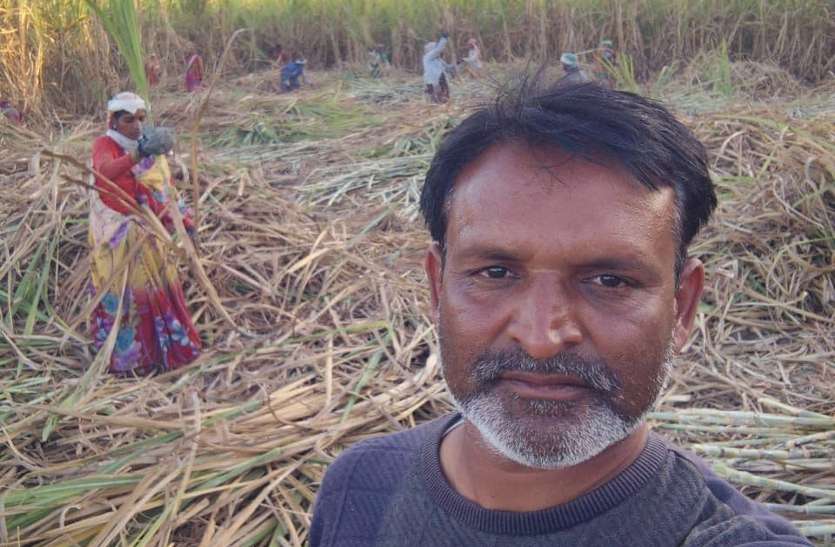 Sugarcane farmer Ravi Haldkar. गुड़ की खेती से जिंदगी में घुल रही मिठास
