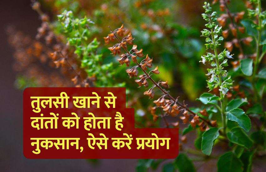 tulsi devi