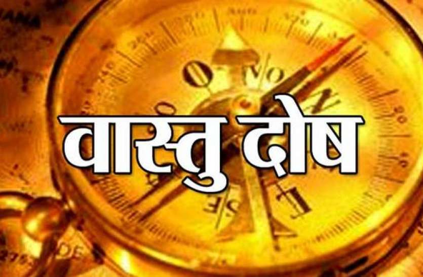 _650x_2019060816023867.jpg कहीं आपके घर के पास भी तो नहीं वास्तु दोष पैदा करने वाले ये पेड़-पौधे, तुरंत करें उपाय