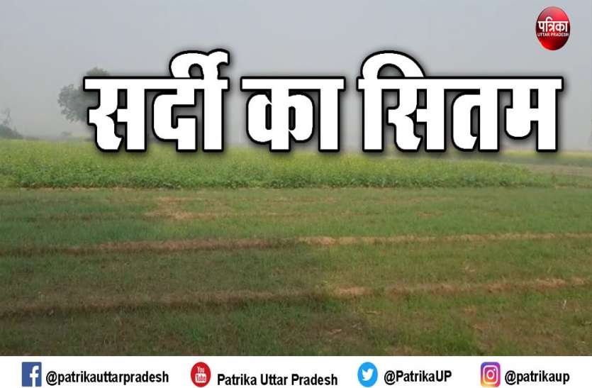 खेत में पानी लगाने गए किसान की ठंड से मौत, पोस्टमार्टम रिपोर्ट का इंतजार खेत में पानी लगाने गए किसान की ठंड से मौत, पोस्टमार्टम रिपोर्ट का इंतजार