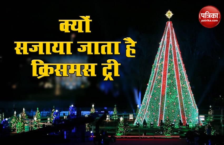 Why Christmas Tree Is Decorated Learn The Biggest Reason Merry Christmas आख र क य घर पर रख ज त ह क र समस ट र ज न इसक प छ क सबस बड वजह Patrika News