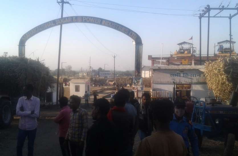 2501nsp2.jpg महाकोशल सुगर मिल का कारनामा,ट्रालों का जमा नहीं किया 60 लाख टैक्स, किसानों से वसूल रहे किराया