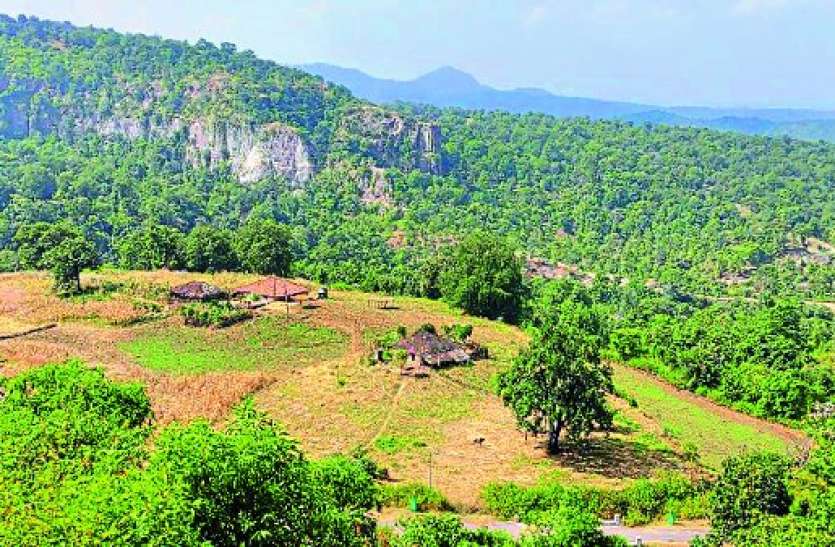 Patalakot: If the branding of Kodo-Kutki can change the picture Patalakot: कोदो-कुटकी की ब्रांडिंग हो तो बदल सकती है तस्वीर