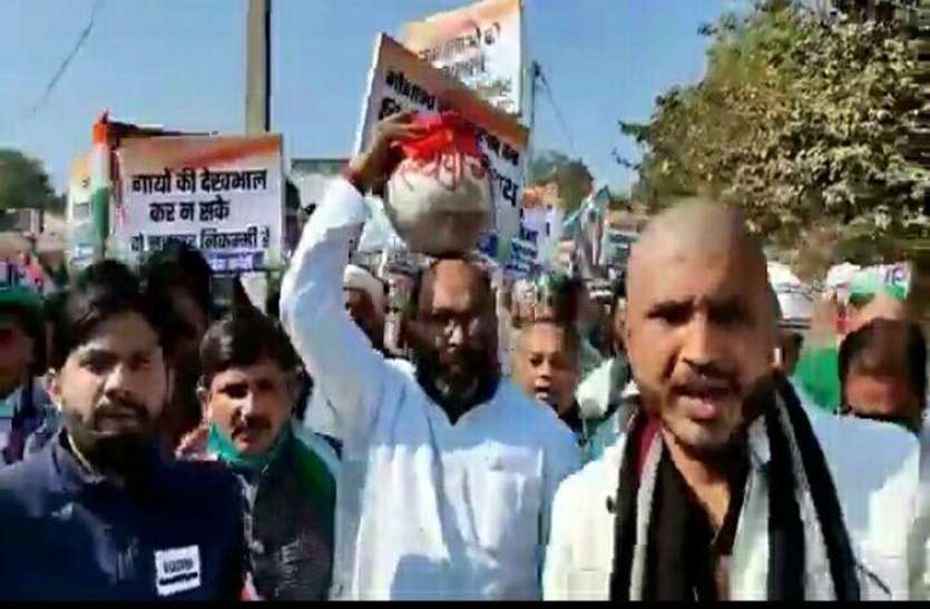 भाजपा को न गाय का फिक्र है न किसानों पर रहम -लल्लू भाजपा को न गाय का फिक्र है न किसानों पर रहम -लल्लू