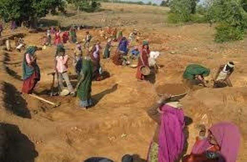 MNREGA work - मनरेगा कार्य का निरीक्षण 6 श्रमिक मिले अनुपस्थित MNREGA work - मनरेगा कार्य का निरीक्षण 6 श्रमिक मिले अनुपस्थित