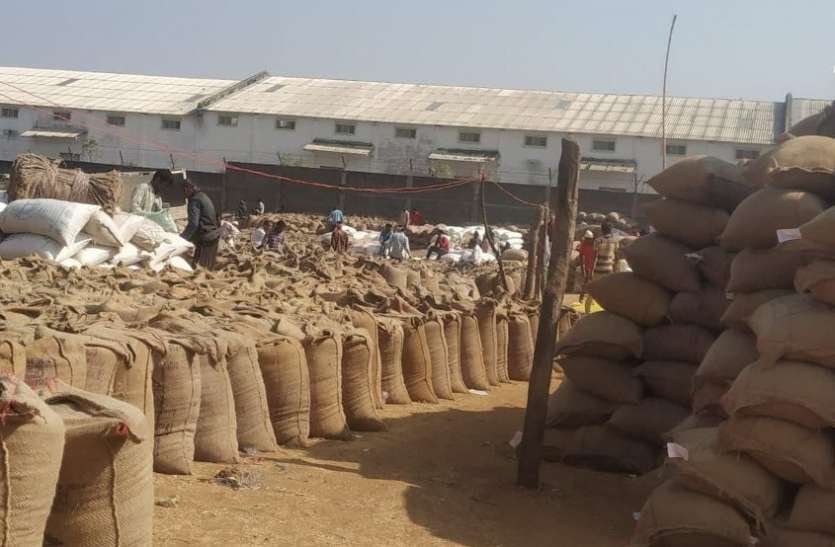 Complaint of exploitation of farmers came in Singrauli's procurement center खरीदी केंद्रों में किसानों का शोषण जारी, फिर आई शिकायत
