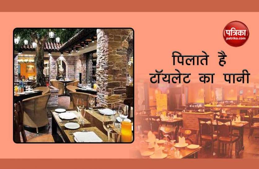 restaurant अनोखा रेस्टोरेंट! ग्राहकों को पिलाते है टॉयलेट का पानी, बीयर और कॉफी में करते है इस्तेमाल